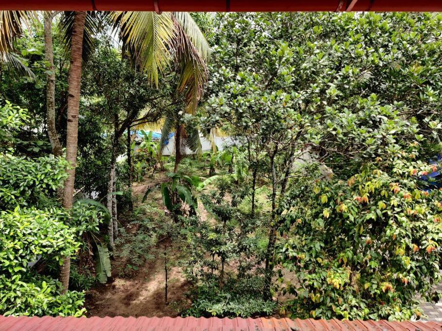 Anandam Stays - Premium 3Bhk Plush Homestay, Vaikom Near Kumarakom Exteriör bild